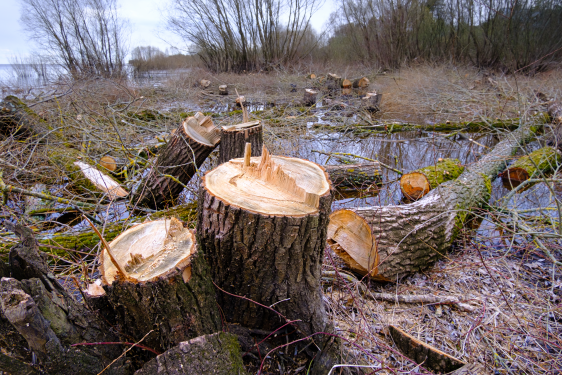 Information an unsere Nachbarn