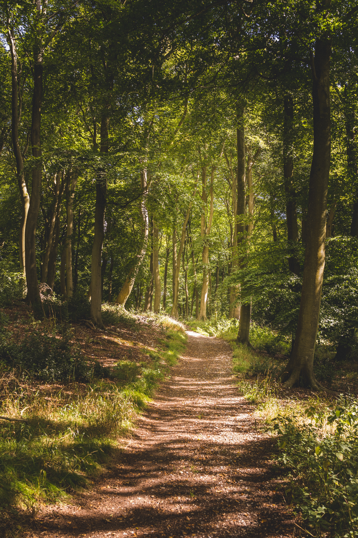 LZ Artikel: “Köthner Heide bleibt im Blickpunkt"