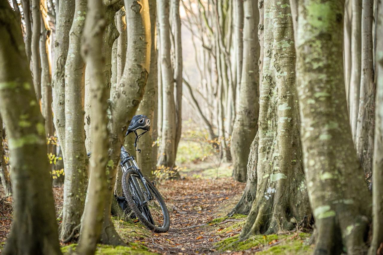 Ankündigung Wandelwoche Radtour