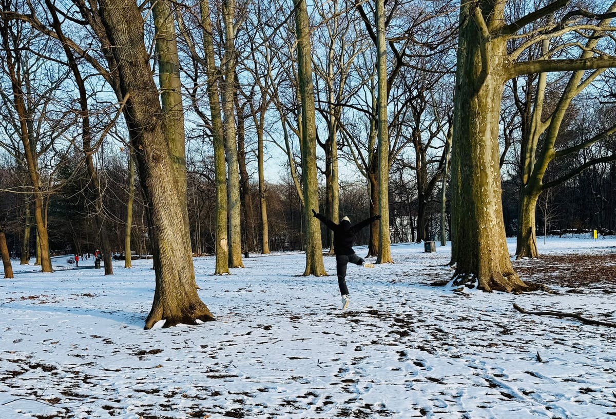Gemeinderat beschließt den Bebauungsplan Nr. 48 “Adendorf Süd”